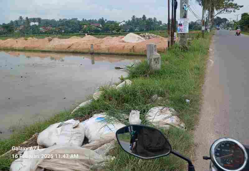 Penimbunan Persawahan di Jalan Raya Sukoharjo Masuk Zonasi Tanaman Pangan Penimbunan Persawahan di Jalan Raya Sukoharjo Masuk Zonasi Tanaman Pangan