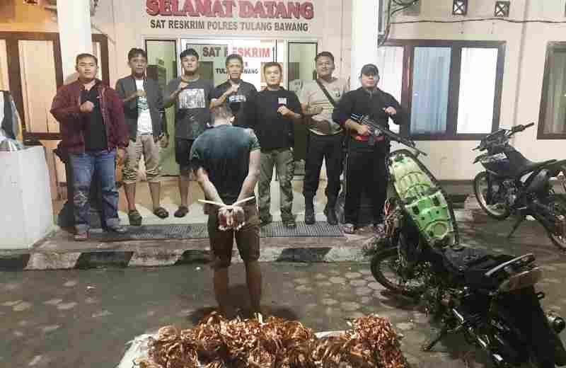 Tekab 308 Presisi Polres Tuba Tangkap Pelaku Spesialis Curat Kabel PLN, Merupakan DPO dan Residivis Tekab 308 Presisi Polres Tuba Tangkap Pelaku Spesialis Curat Kabel PLN, Merupakan DPO dan Residivis
