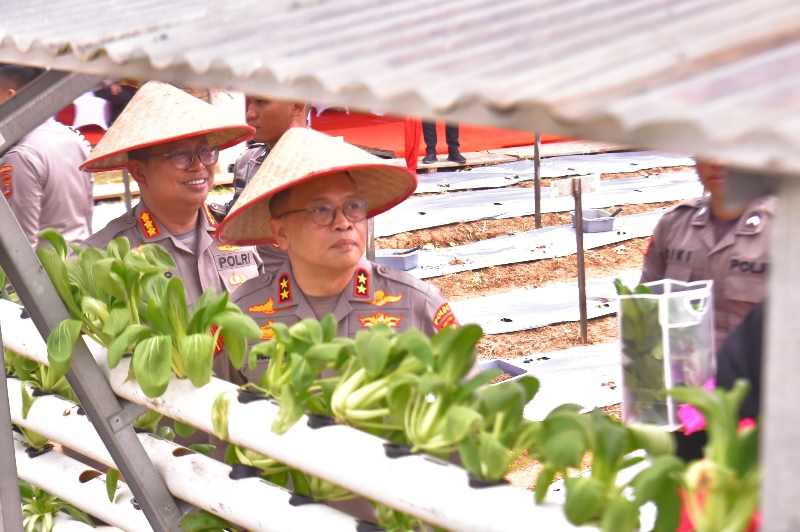 Kapolda Lampung Bersama Pengurus Bhayangkari Luncurkan Program Pekarangan Pangan Lestari Kapolda Lampung Bersama Pengurus Bhayangkari Luncurkan Program Pekarangan Pangan Lestari