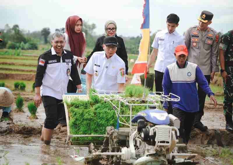 Pemprov Lampung Gaspol Musim Tanam Kedua, Targetkan 3,5 Juta Ton Padi di 2025! Pemprov Lampung Gaspol Musim Tanam Kedua, Targetkan 3,5 Juta Ton Padi di 2025!