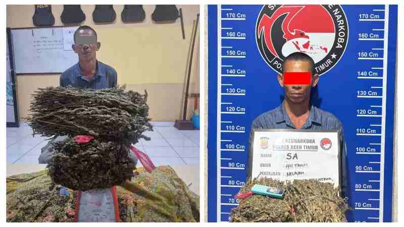 Polisi Berhasil Gagalkan Upaya Peredaran 1600 gram Ganja, Satu Pelaku Diringkus Polisi Berhasil Gagalkan Upaya Peredaran 1600 gram Ganja, Satu Pelaku Diringkus