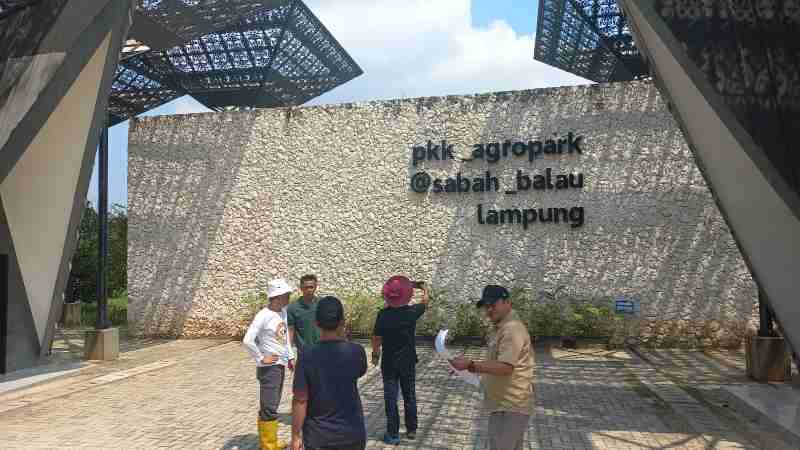 Agropark PKK Sabah Balau akan Ditata Ulang Menjadi Wisata Edukasi yang Menarik Agropark PKK Sabah Balau akan Ditata Ulang Menjadi Wisata Edukasi yang Menarik