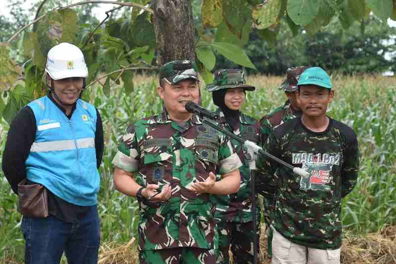Danrem 071/Wijayakusuma Tanam Bawang Merah di Brebes Danrem 071/Wijayakusuma Tanam Bawang Merah di Brebes