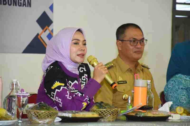Terima Kunker Ketua TP-PKK Provinsi, Bupati Novriwan Sampaikan Program Tubaba Q Sehat Terima Kunker Ketua TP-PKK Provinsi, Bupati Novriwan Sampaikan Program Tubaba Q Sehat