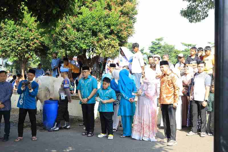 Tingkatkan Rasa Persaudaraan, Polda Lampung Salurkan 58 Hewan Kurban di Iduladha 1446 H Tingkatkan Rasa Persaudaraan, Polda Lampung Salurkan 58 Hewan Kurban di Iduladha 1446 H