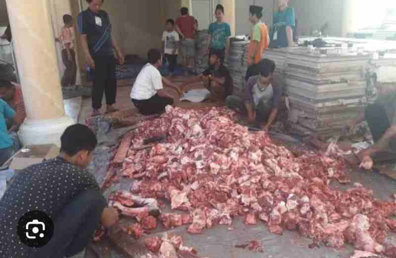 Hari Raya Idul Adha 1446 H, Ponpes Riyadhus Sholihin Sembelih 20 Ekor Sapi dan 27 Kambing Hari Raya Idul Adha 1446 H, Ponpes Riyadhus Sholihin Sembelih 20 Ekor Sapi dan 27 Kambing