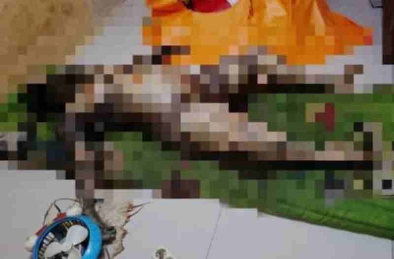 Diduga Pembunuhan, Mayat Telentang Hampir Membusuk Didalam Rumah Kos Tanjung Morawa Diduga Pembunuhan, Mayat Telentang Hampir Membusuk Didalam Rumah Kos Tanjung Morawa