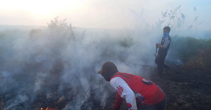 BPBD Sumsel Catat 33 Kejadian Karhutla Terjadi Hingga 14 Juli 2025 BPBD Sumsel Catat 33 Kejadian Karhutla Terjadi Hingga 14 Juli 2025