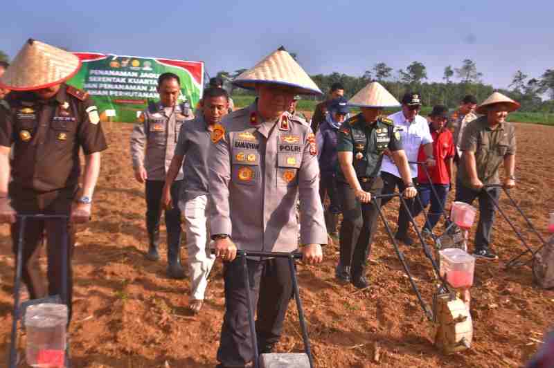 Penanaman Jagung Serentak Kwartal 3, Polda Lampung Siap Mendukung Program Ketahanan Pangan Pemerintah Penanaman Jagung Serentak Kwartal 3, Polda Lampung Siap Mendukung Program Ketahanan Pangan Pemerintah