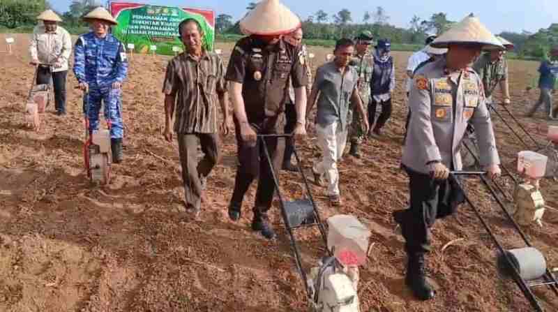 Kembali Polisi Buka Lahan Tanam Jagung di Jati Agung Kembali Polisi Buka Lahan Tanam Jagung di Jati Agung
