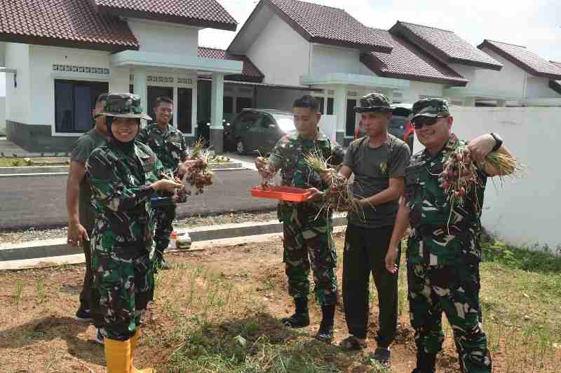 Inovatif dan Kreatif, Manfaatkan Lahan Dukung Hanpangan Inovatif dan Kreatif, Manfaatkan Lahan Dukung Hanpangan