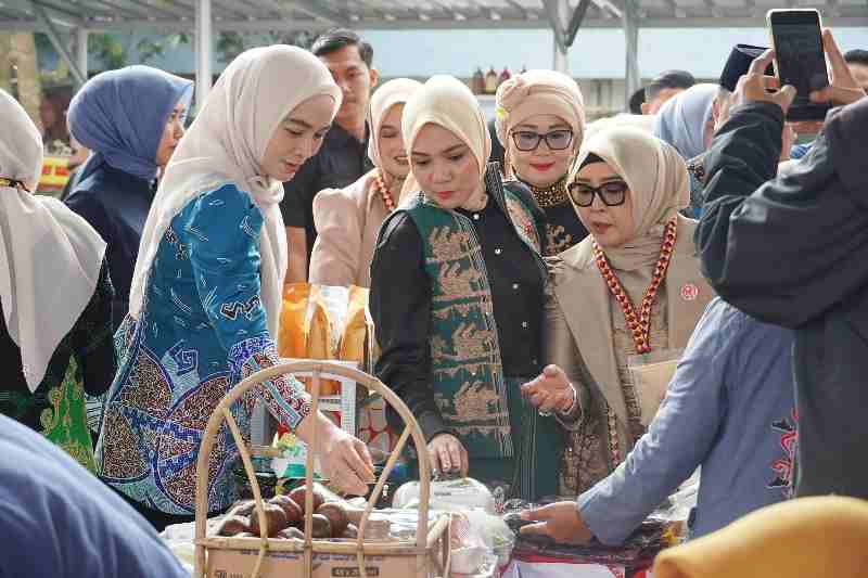 Ketua Dekranasda Resmikan Galeri UMKM Tanggamus, Wadah Inovasi dan Promosi Produk Lokal Ketua Dekranasda Resmikan Galeri UMKM Tanggamus, Wadah Inovasi dan Promosi Produk Lokal