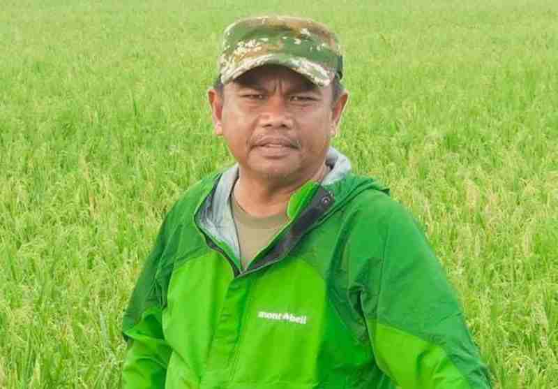 Bupati Darma Wijaya: Petani Sergai Bersyukur Harga Gabah Naik Rp 8.000/Kg Bupati Darma Wijaya: Petani Sergai Bersyukur Harga Gabah Naik Rp 8.000/Kg