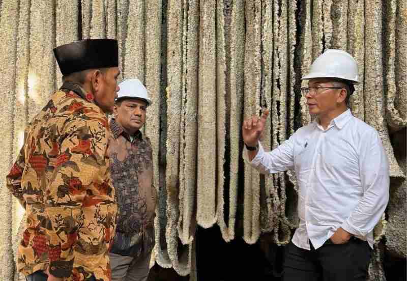 Komoditi Karet PTPN I Masih Sangat Prospektif Komoditi Karet PTPN I Masih Sangat Prospektif