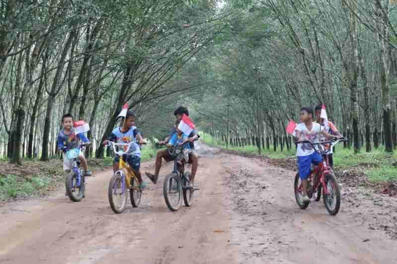 PTPN I Bersiap Semarakan HUT Ke-80 RI: Aneka Lomba, Baksos, Beasiswa, hingga Upacara PTPN I Bersiap Semarakan HUT Ke-80 RI: Aneka Lomba, Baksos, Beasiswa, hingga Upacara