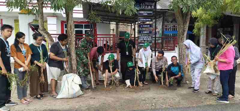 Desa Tebing Tinggi Tanam Sere Wangi dan Lavender Usir Nyamuk di Enam Dusun Desa Tebing Tinggi Tanam Sere Wangi dan Lavender Usir Nyamuk di Enam Dusun