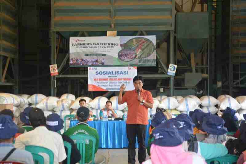 OJK Edukasi Petani Kopi dan KUB Bintang Jaya Bersama BNI Cabang Talang Padang Kabupaten Tanggamus OJK Edukasi Petani Kopi dan KUB Bintang Jaya Bersama BNI Cabang Talang Padang Kabupaten Tanggamus