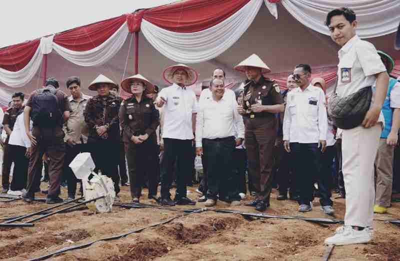 Kabupaten Pringsewu Tahun 2025 Targetkan Produksi Jagung 48.899 Ton Kabupaten Pringsewu Tahun 2025 Targetkan Produksi Jagung 48.899 Ton