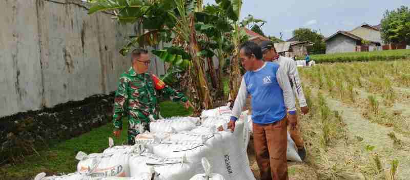 Dukung Ketahanan Pangan, Koramil 410-04/TKT Babinsa Tanjung Baru Bantu Petani Dukung Ketahanan Pangan, Koramil 410-04/TKT Babinsa Tanjung Baru Bantu Petani