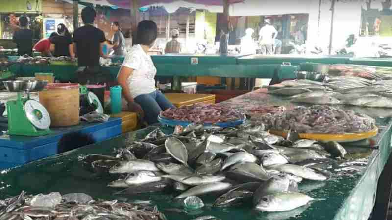 Warga Minta KKP Segera Realisasikan Pembangunan Pasar Ikan Ranai di Natuna Warga Minta KKP Segera Realisasikan Pembangunan Pasar Ikan Ranai di Natuna