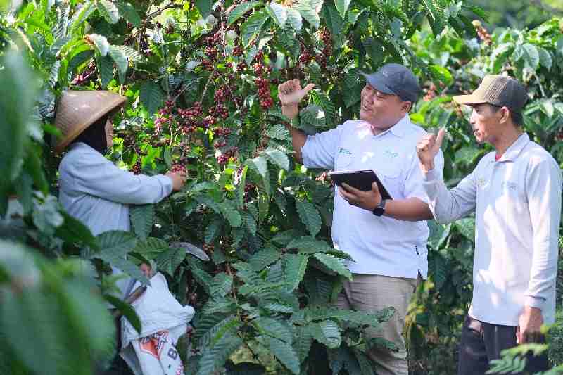 PTPN I Hadir, Ekonomi Wilayah Cair PTPN I Hadir, Ekonomi Wilayah Cair