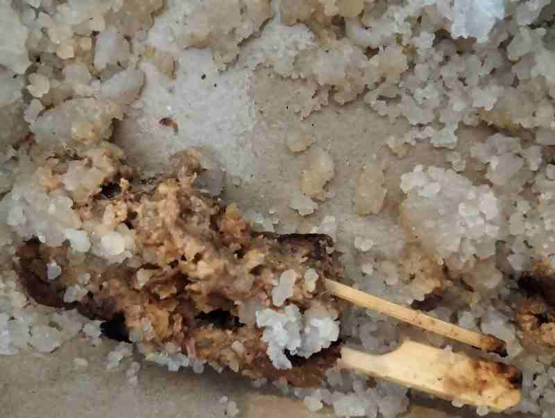 Horog-horog : Butiran Kenyal dari Jepara, Jejak Rasa dalam Sejarah Horog-horog : Butiran Kenyal dari Jepara, Jejak Rasa dalam Sejarah