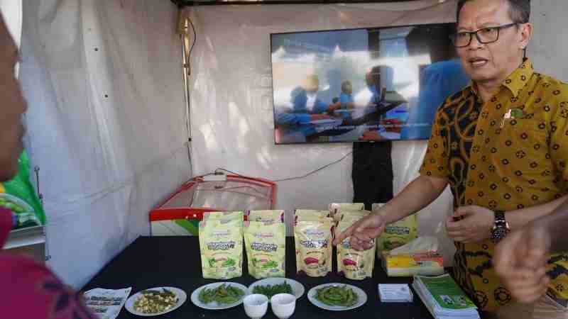 Tanam Edamame, Anak Perusahaan PTPN I Diversifikasi Komoditas Tanam Edamame, Anak Perusahaan PTPN I Diversifikasi Komoditas