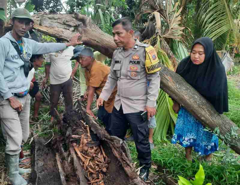 Polres Sergai Sektor Polsek Firdaus Evakuasi Kerangka Manusia dari Batang Pohon Aren Polres Sergai Sektor Polsek Firdaus Evakuasi Kerangka Manusia dari Batang Pohon Aren