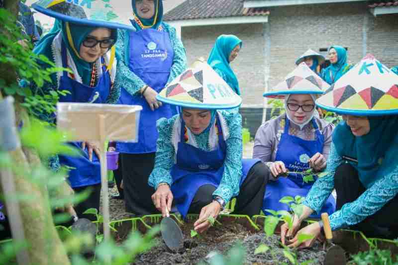 Desa TAPIS Hadir di Tanggamus, PKK Provinsi Lampung Dorong Kesejahteraan dari Akar Desa Desa TAPIS Hadir di Tanggamus, PKK Provinsi Lampung Dorong Kesejahteraan dari Akar Desa
