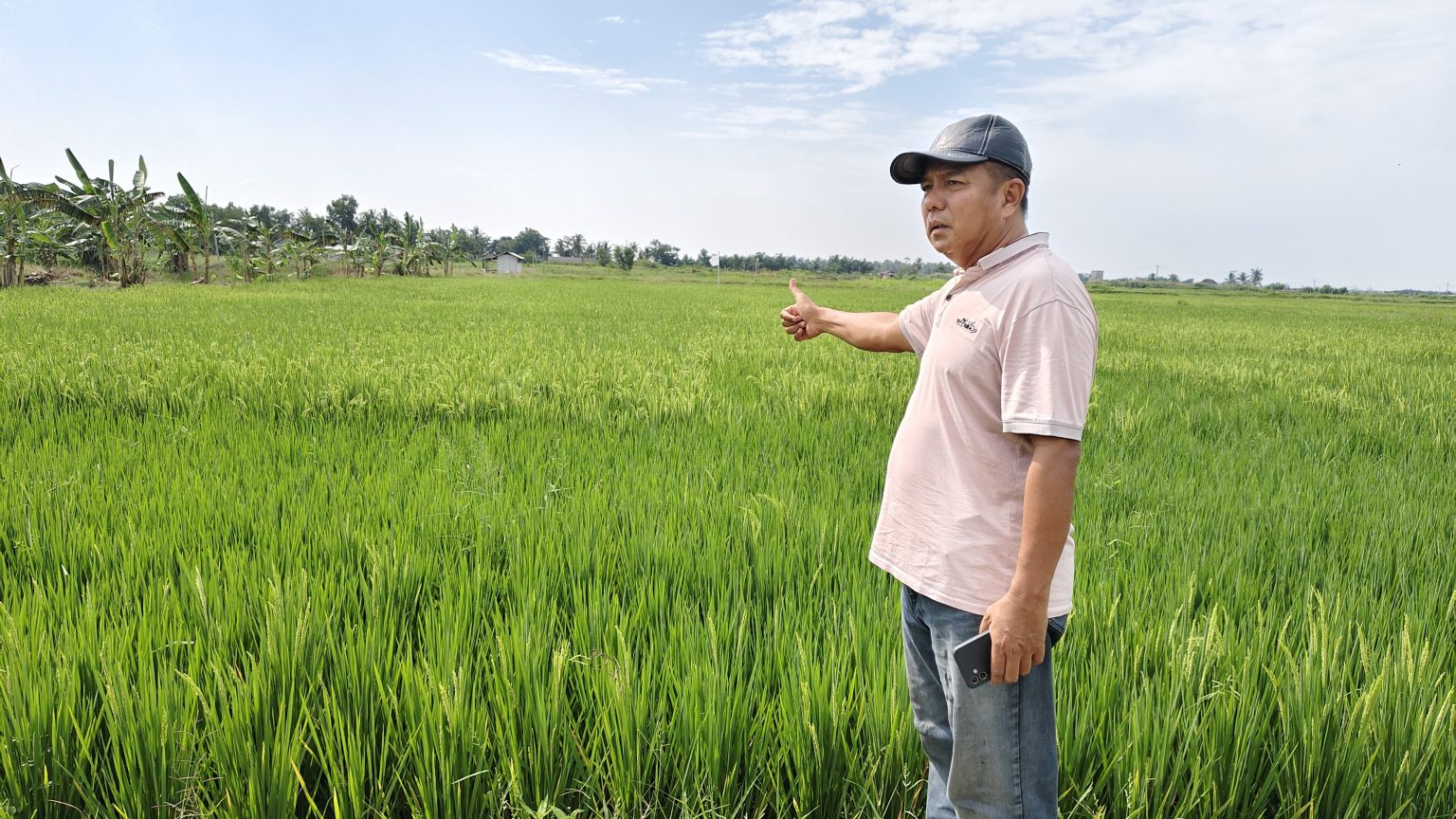 Aribun Sayunis : Alih Fungsi Tambak di Lamsel Jadi Lahan Pangan Produktif Aribun Sayunis : Alih Fungsi Tambak di Lamsel Jadi Lahan Pangan Produktif