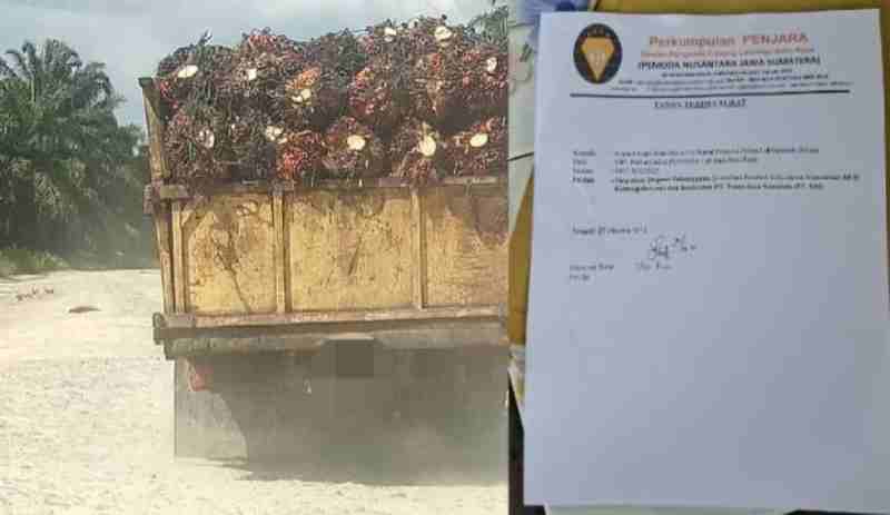 PT Trans Jaya Sumatra Diduga Abaikan Hak Supir Angkutan: Tak Didaftarkan ke BPJS, Tapi Bisa Menang Tender PT Trans Jaya Sumatra Diduga Abaikan Hak Supir Angkutan: Tak Didaftarkan ke BPJS, Tapi Bisa Menang Tender