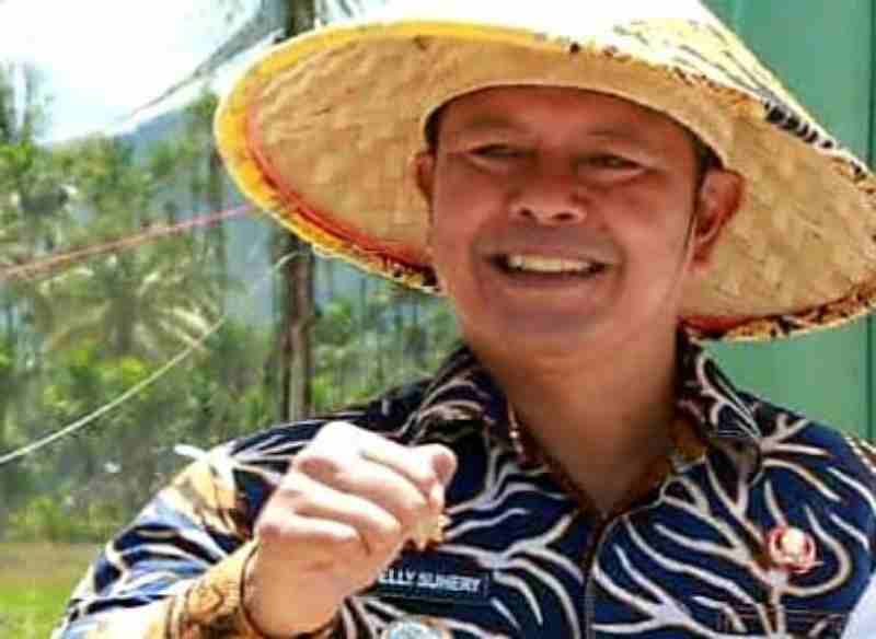 Pastikan Ketersediaan Pupuk Subsidi, Welly Suhery Ingin Petani Tanpa Keluhan Pastikan Ketersediaan Pupuk Subsidi, Welly Suhery Ingin Petani Tanpa Keluhan