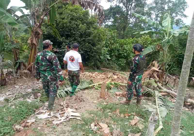 Danramil 424-02/Wonosobo Bersama Anggota Sigap Pantau Gajah Masuk Perkebunan Warga Danramil 424-02/Wonosobo Bersama Anggota Sigap Pantau Gajah Masuk Perkebunan Warga
