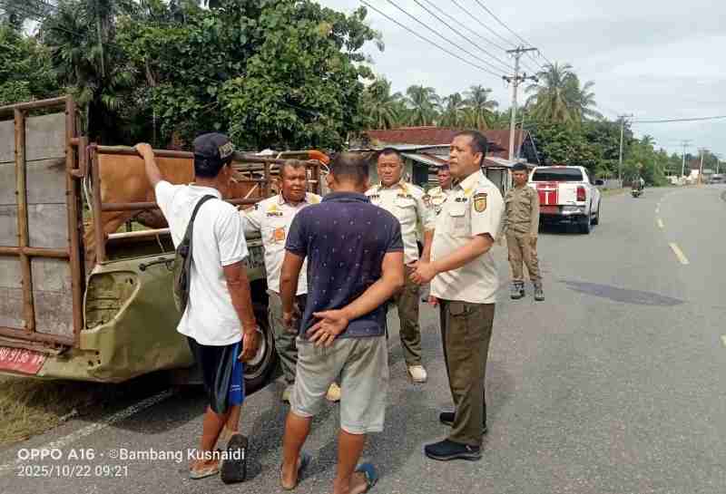 Pemkab Kaur Berkomitmen Tegakan Perda Penertiban Hewan Ternak Pemkab Kaur Berkomitmen Tegakan Perda Penertiban Hewan Ternak