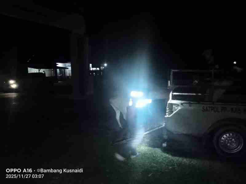 Pemilik Ternak Waspada…! Sat Pol PP Kaur Terapkan Operasi Dimalam Hari Pemilik Ternak Waspada…! Sat Pol PP Kaur Terapkan Operasi Dimalam Hari