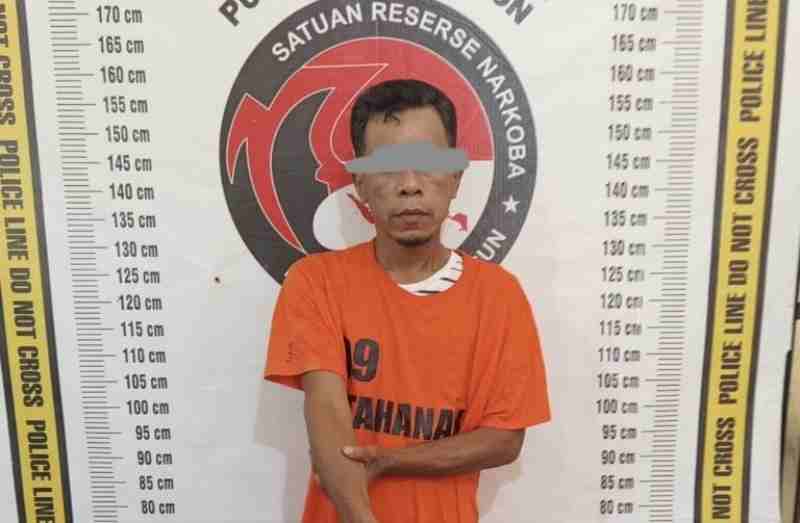 Polsek Perdagangan Ringkus Pengedar Narkoba Beserta Sabu dan Ganja Polsek Perdagangan Ringkus Pengedar Narkoba Beserta Sabu dan Ganja