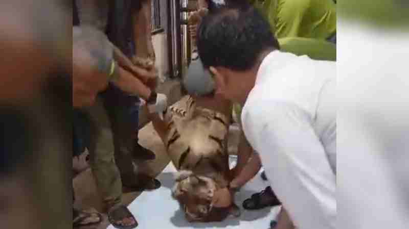 JKEL Lampung Desak Menhut RI Cabut Izin Lembah Hijau JKEL Lampung Desak Menhut RI Cabut Izin Lembah Hijau