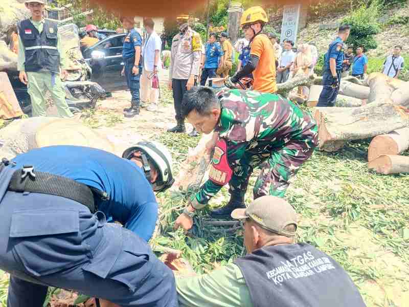 Babinsa Kelurahan Kebunjeruk 410-04/TKT Bantu Proses Evakuasi Korban Pohon Tumbang Babinsa Kelurahan Kebunjeruk 410-04/TKT Bantu Proses Evakuasi Korban Pohon Tumbang