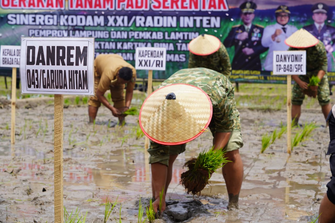 Danrem 043/Gatam: Kami Siap Dukung dan Dampingi Seluruh Program Ketahanan Pangan Pemerintah Danrem 043/Gatam: Kami Siap Dukung dan Dampingi Seluruh Program Ketahanan Pangan Pemerintah