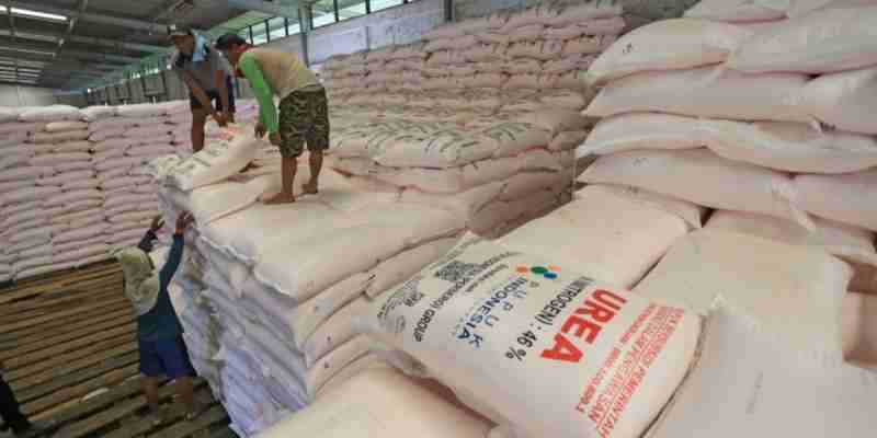 Komisi II DPRD Lampung Minta Pengawasan Pupuk Subsidi Diperketat Komisi II DPRD Lampung Minta Pengawasan Pupuk Subsidi Diperketat