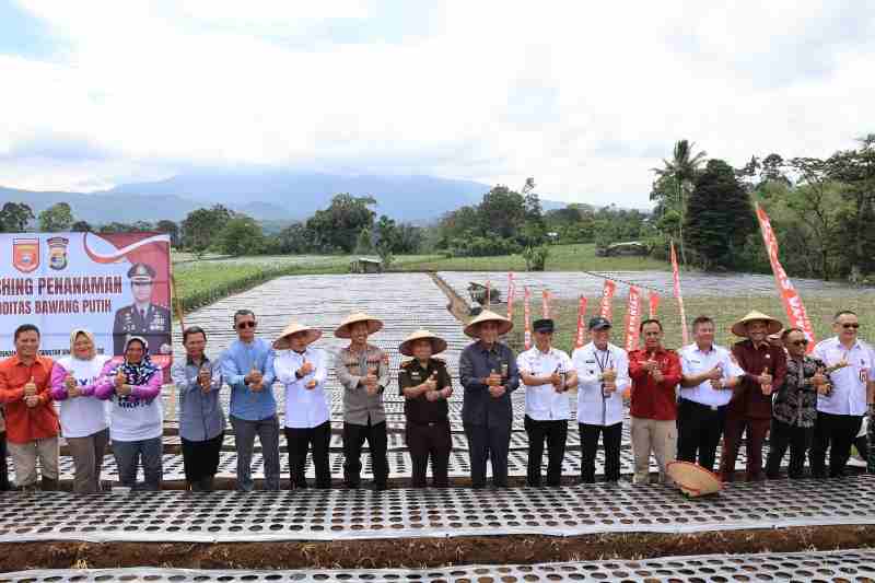Lampung Barat Disiapkan Jadi Sentra Bawang Putih, Parosil Mabsus : Butuh Upaya Serius Lampung Barat Disiapkan Jadi Sentra Bawang Putih, Parosil Mabsus : Butuh Upaya Serius