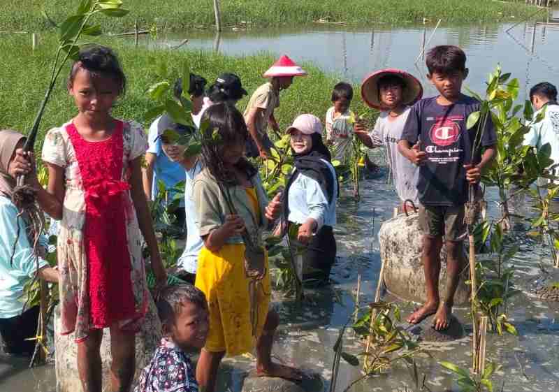 Menanam Mangrove Hari ini, Menuai Harapan Masa Depan di Tambakrejo Menanam Mangrove Hari ini, Menuai Harapan Masa Depan di Tambakrejo