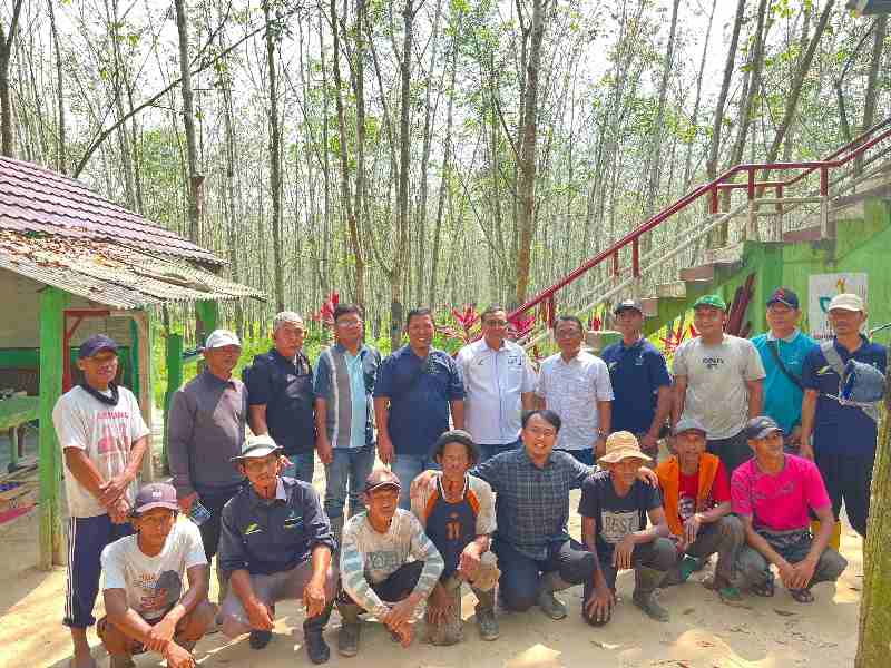 Region Head PTPN I Reg.7 Iyan Heryanto Motivasi Penyadap Afdeling 6 Trikora Kebun Kedaton Genjot Produksi Region Head PTPN I Reg.7 Iyan Heryanto Motivasi Penyadap Afdeling 6 Trikora Kebun Kedaton Genjot Produksi