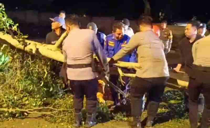 Polres Tanggamus Bersama Damkar dan Warga Evakuasi Pohon Tumbang Akibat Angin Kencang Polres Tanggamus Bersama Damkar dan Warga Evakuasi Pohon Tumbang Akibat Angin Kencang