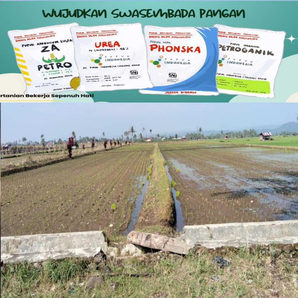 Harga Pupuk Subsidi di Lebong Diduga Jauh di Atas HET, Petani – Ormas Minta Pengawasan Diperketat Harga Pupuk Subsidi di Lebong Diduga Jauh di Atas HET, Petani – Ormas Minta Pengawasan Diperketat