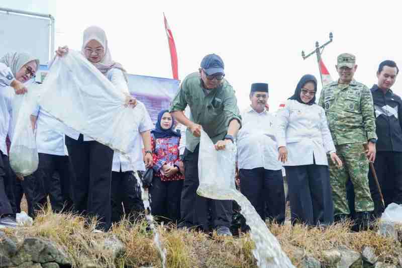 Restocking Ikan Jadi Upaya Nyata Pemprov Lampung Menjaga Ekosistem Sungai Mesuji Restocking Ikan Jadi Upaya Nyata Pemprov Lampung Menjaga Ekosistem Sungai Mesuji