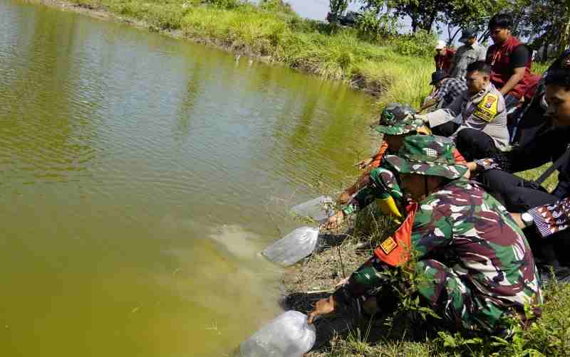 Kolaborasi Perkuat Ketahanan Pangan, TMMD 129 Bojonegoro Tabur 11 Ribu Benih Ikan Kolaborasi Perkuat Ketahanan Pangan, TMMD 129 Bojonegoro Tabur 11 Ribu Benih Ikan
