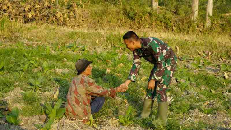 Menyapa dengan Hati di Tengah Ladang: Satgas TMMD 129 Bojonegoro Rajut Kemanunggalan TNI dan Rakyat